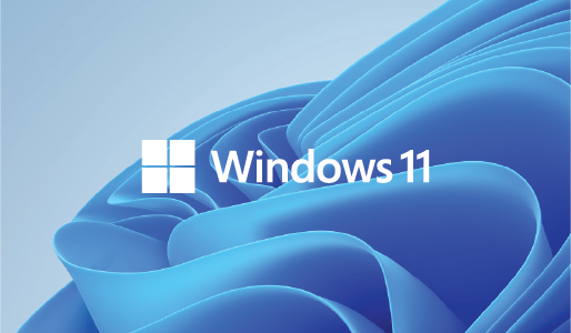 Windows 11